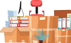 Customer support representative